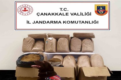 canakkalede-kacakcilik-operasyonu