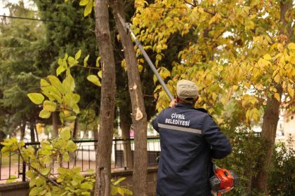 civril-belediyesi-budamayla-hem-tehlikeyi-onluyor-hem-de-agaclarin-omrunu-uzatiyor