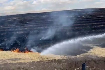 diyarbakirda-aniz-yangini