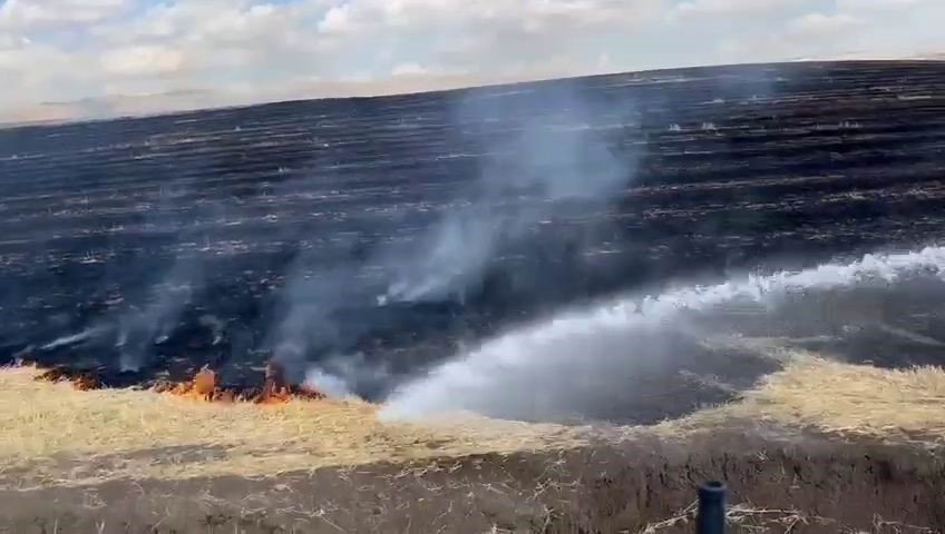 diyarbakirda-aniz-yangini