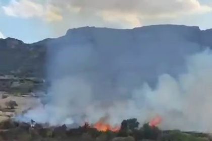 diyarbakirda-otluk-yangini