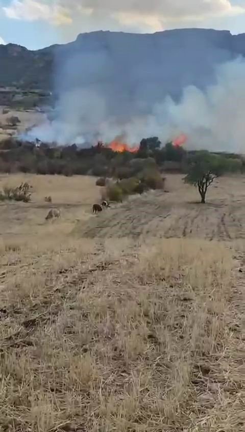 diyarbakirda-otluk-yangini