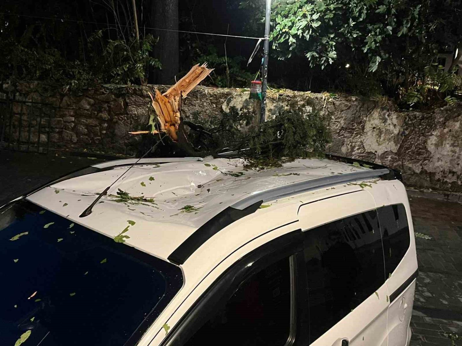 firtinanin-devirdigi-agac-park-halindeki-aracin-uzerine-dustu