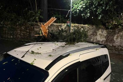 firtinanin-devirdigi-agac-park-halindeki-aracin-uzerine-dustu