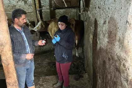 giresunda-sap-alarmi