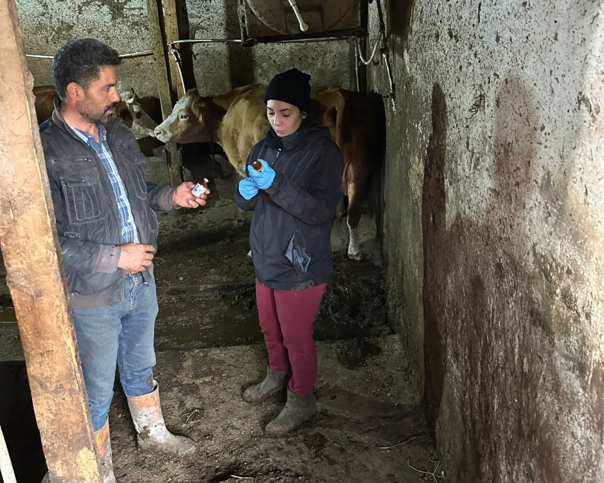 giresunda-sap-alarmi