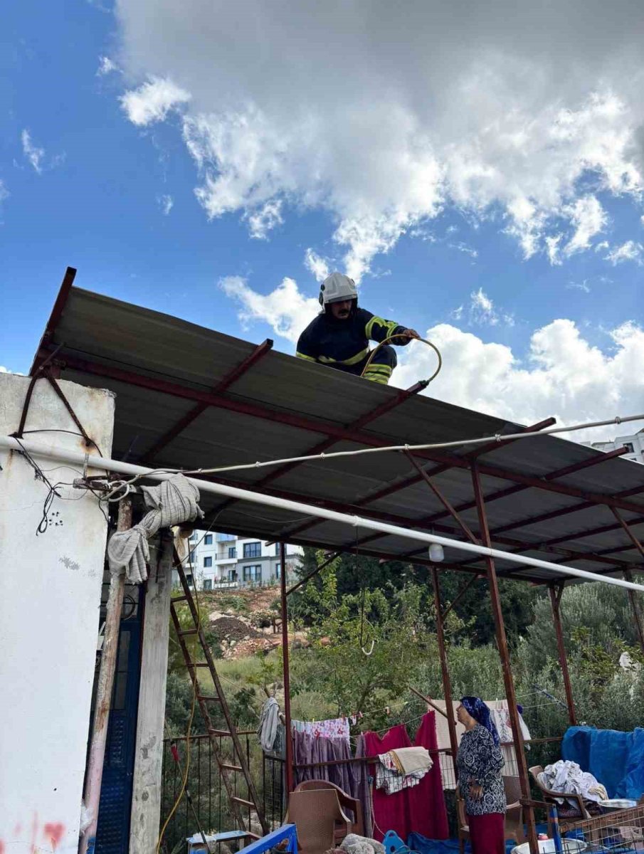 hatayda-eve-giren-2-yilani-itfaiye-yakaladi