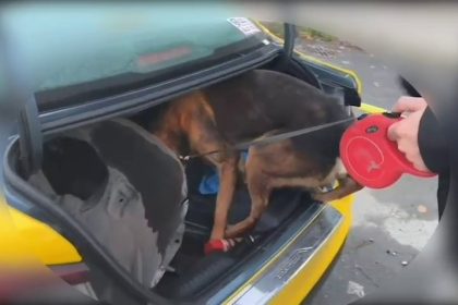 istanbuldan-sakaryaya-uyusturucu-getiren-supheli-tutuklandi