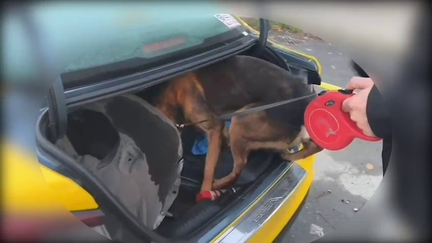 istanbuldan-sakaryaya-uyusturucu-getiren-supheli-tutuklandi