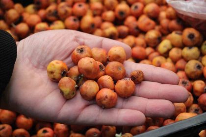 kisin-habercisi-alic-meyvesi-tezgahlari-renklendirdi