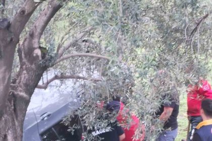 kontrolu-kaybetti-zeytin-bahcesine-uctu-2-yarali