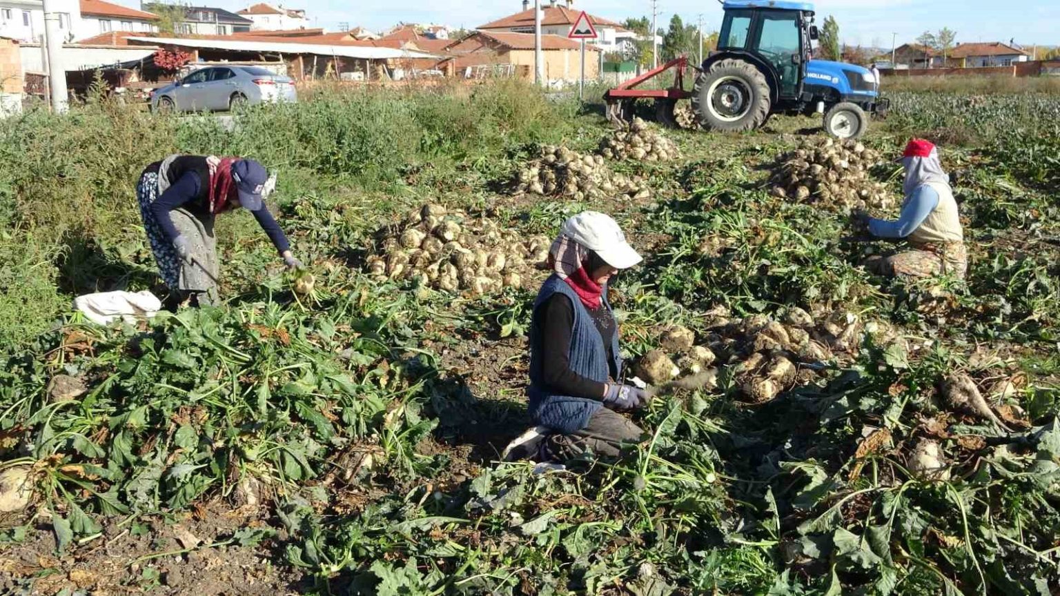kutahyada-pancar-hasadi-basladi