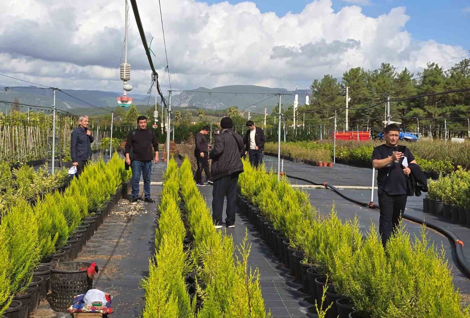 ozbek-ormancilar-muglada-incelemelerde-bulundu