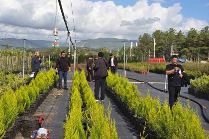 ozbek-ormancilar-muglada-incelemelerde-bulundu