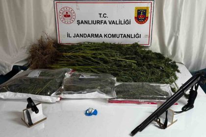 sanliurfada-uyusturucu-operasyonunda-1-gozalti