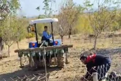 septik-kuyusuna-dusen-yaban-domuzu-traktor-yardimiyla-kurtarildi