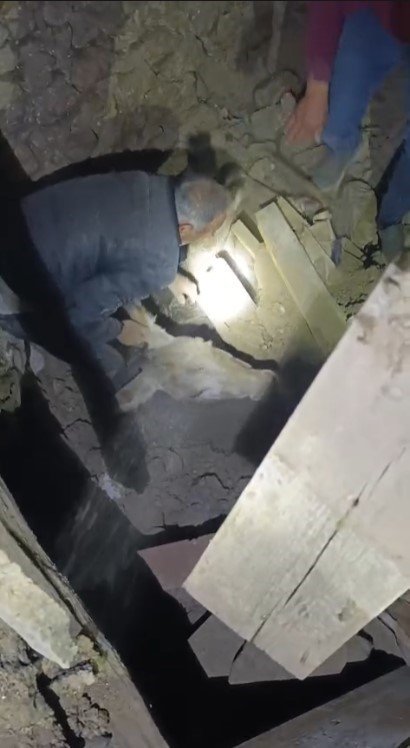 sindirgida-enkaz-altinda-kalan-esek-canli-kurtarildi