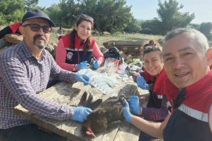 sokede-kirsal-mahallelerdeki-tavuklardan-kus-gribi-numunesi-alindi