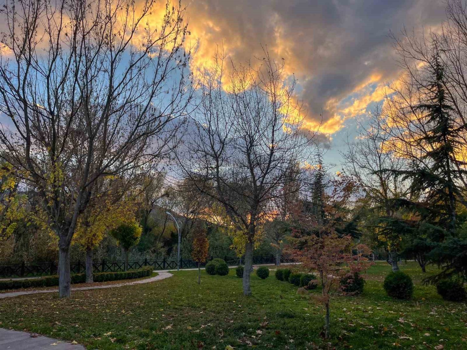 sonbahar-renkleri-eskisehiri-susledi