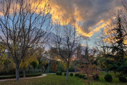 sonbahar-renkleri-eskisehiri-susledi