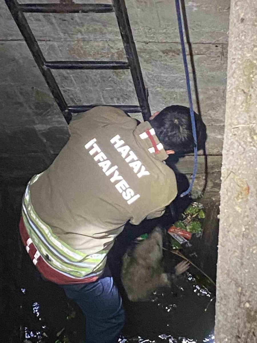 su-dolu-kuyuya-dusen-2-kopegi-itfaiye-kurtardi