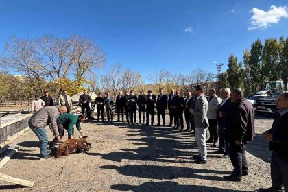 tutakta-hayvan-pazari-yapiliyor