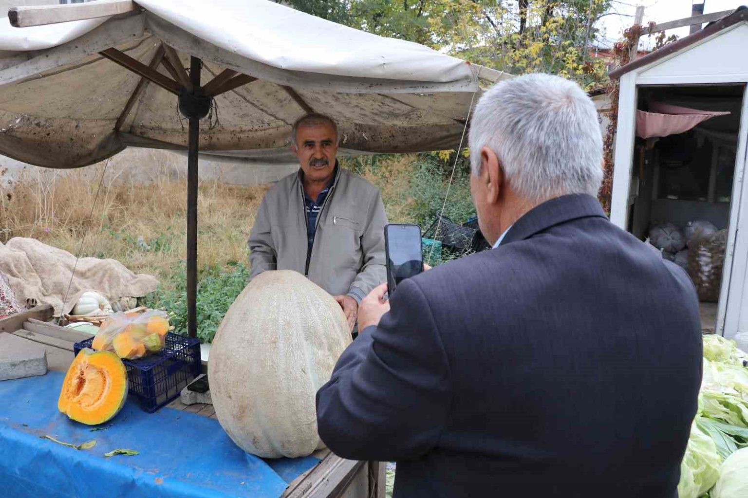 ata-tohumu-51-kiloluk-dev-kabak-ilgi-odagi-oldu