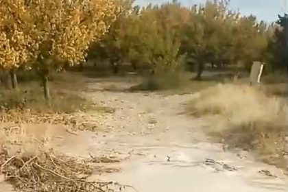 baskilde-dereler-tasti