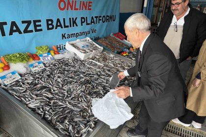 denizlerde-balik-bollugu-hamsinin-fiyati-89-liraya-dustu