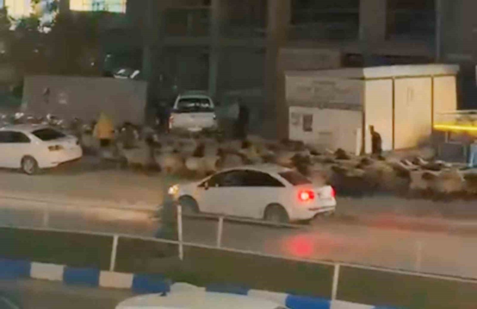 islek-caddede-koyun-surusunun-gecisi-ilginc-goruntuler-olusturdu