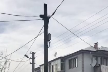 kopeklerden-kacti-direkte-mahsur-kaldi