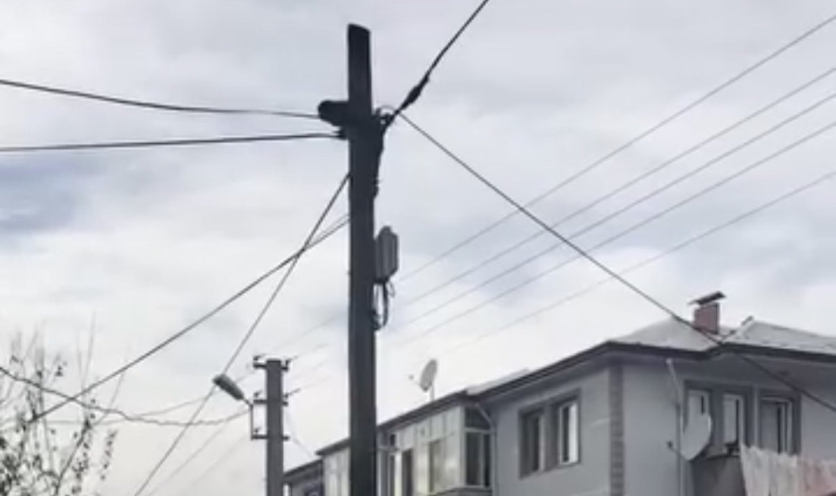 kopeklerden-kacti-direkte-mahsur-kaldi