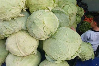 mus-lahanalari-diyarbakirda-tezgahlarda-yerini-aldi