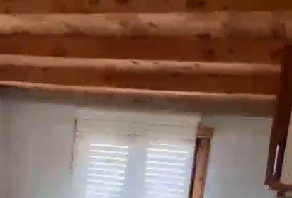 rize-yaylalarinda-ayi-panigi-20-ev-talan-edildi