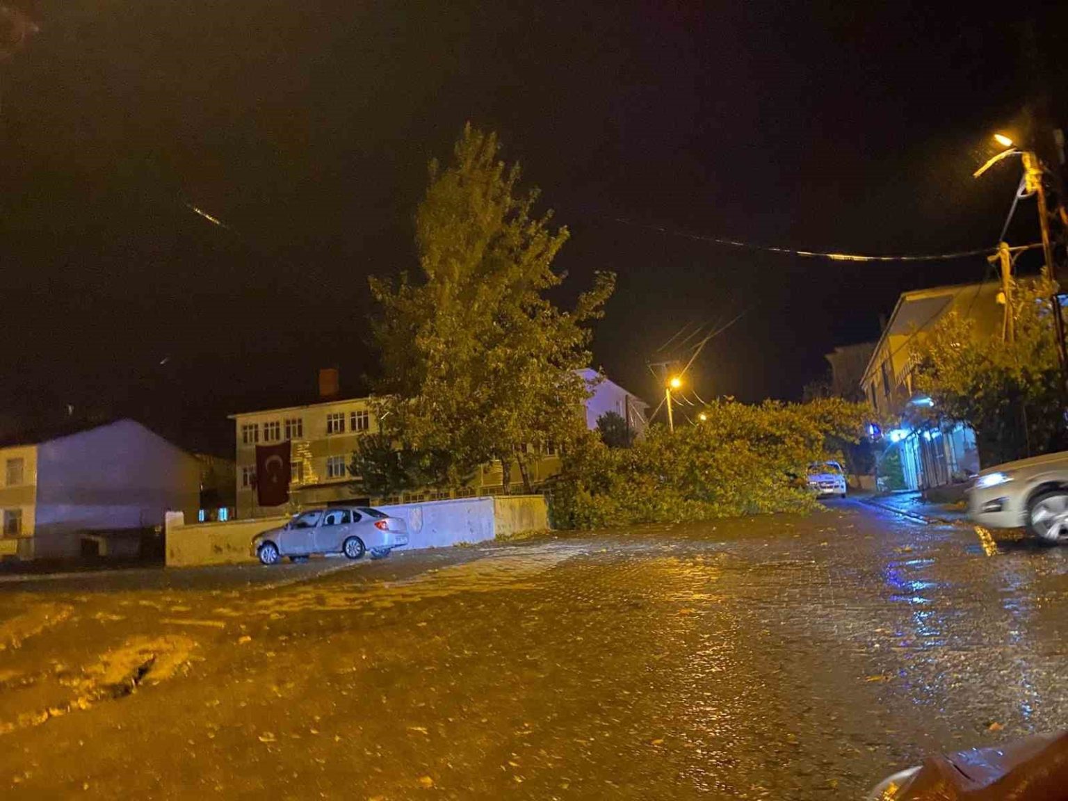 ruzgarin-kokunden-soktugu-agac-otomobilin-uzerine-devrildi