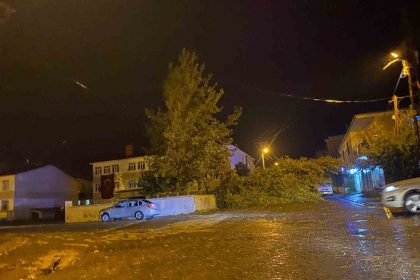 ruzgarin-kokunden-soktugu-agac-otomobilin-uzerine-devrildi