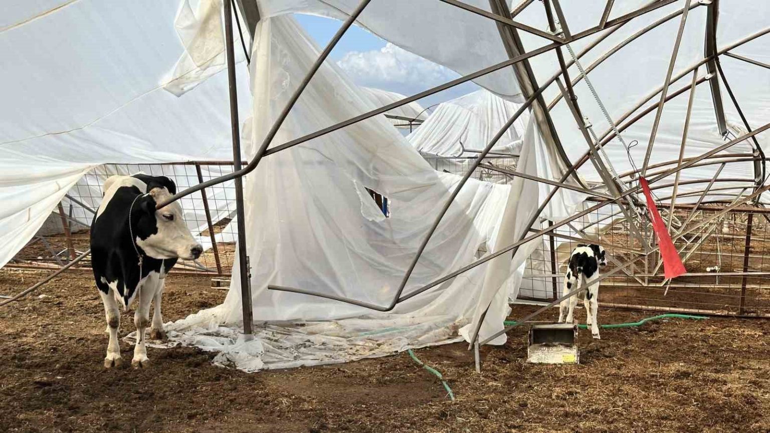 serikte-hasar-tespit-calismalari-suruyor