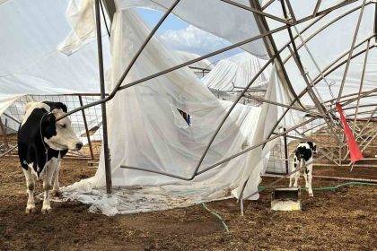 serikte-hasar-tespit-calismalari-suruyor