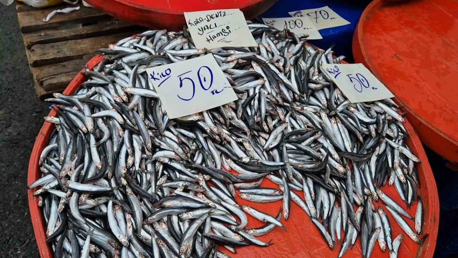 tekirdagda-hamsinin-kilosu-50-liraya-kadar-dustu