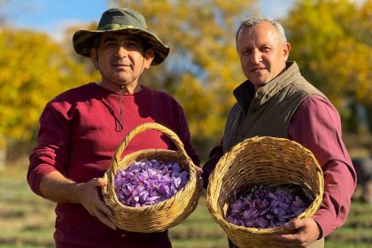 ab-tescilli-safranin-hasadi-suruyor