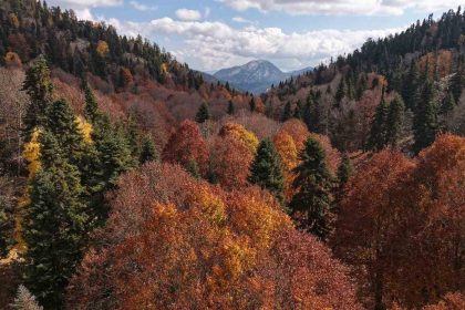 adanada-sonbahar-guzelligi-adeta-doga-sanata-donustu