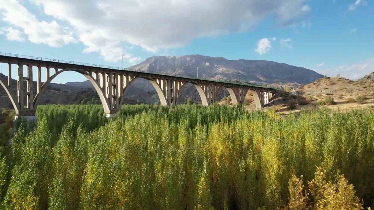 alman-koprusunun-etrafinda-renk-cumbusu