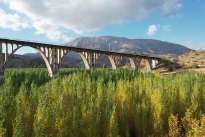 alman-koprusunun-etrafinda-renk-cumbusu