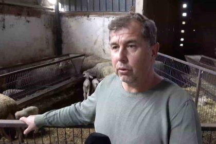 annesi-ve-kardesleri-olen-kuzunun-yurek-burkan-hikayesi