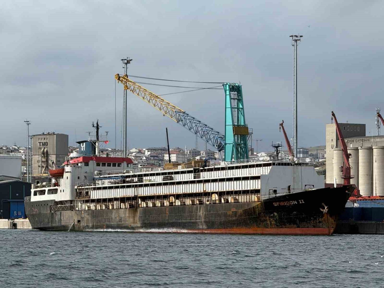 bandirma-limaninda-spiridon-ii-krizi-ithal-hayvanlar-gunlerdir-limanda-mahsur