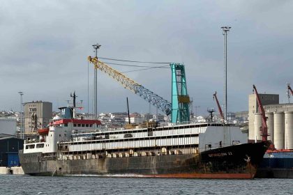 bandirma-limaninda-spiridon-ii-krizi-ithal-hayvanlar-gunlerdir-limanda-mahsur