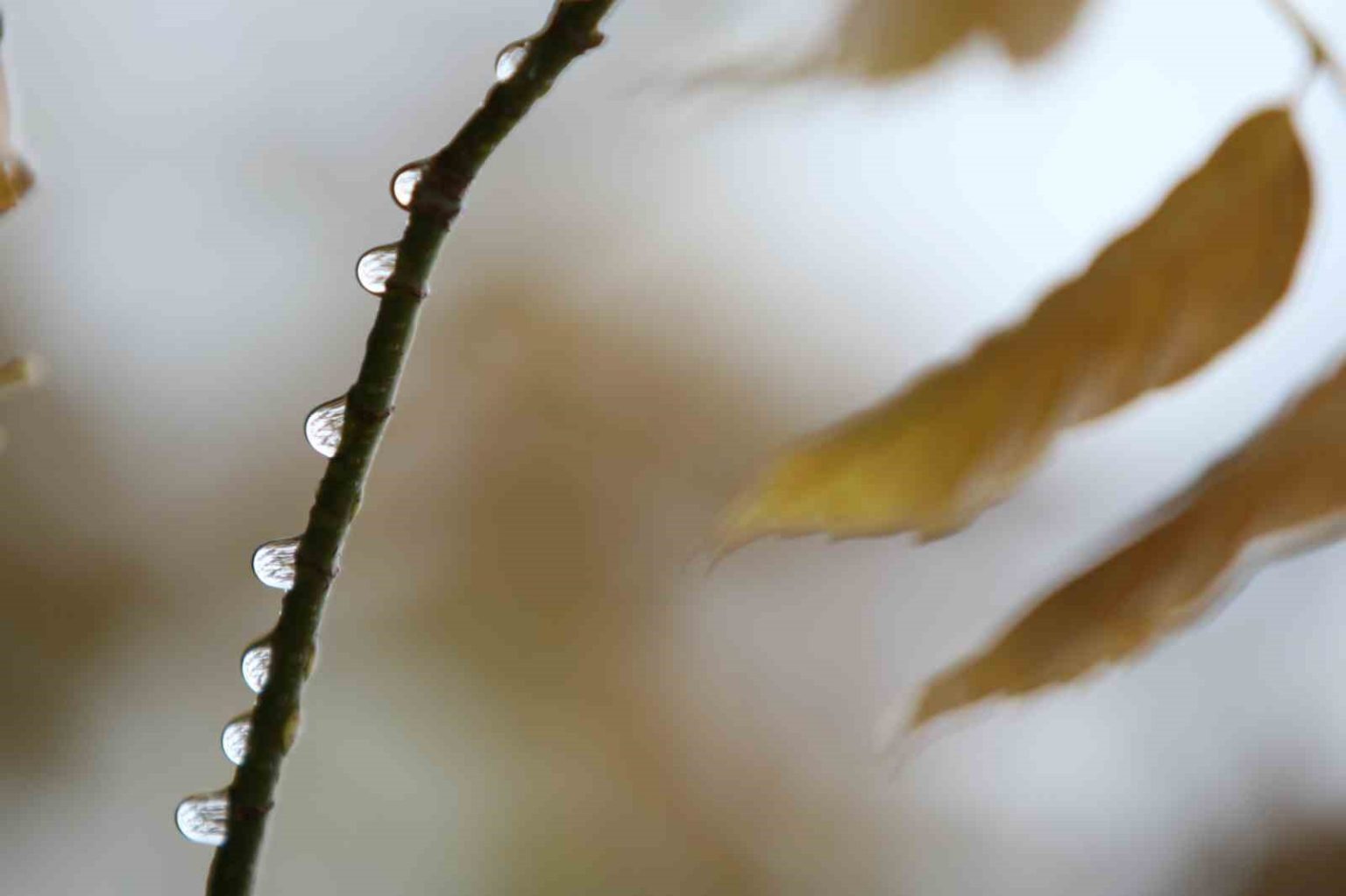 bursada-2-gunluk-yagislar-ekim-ayini-kurtardi