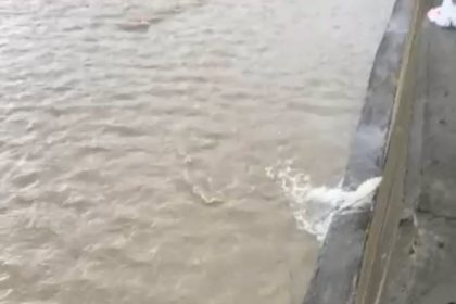 derede-mahsur-kalan-kopegi-itfaiye-ekibi-kurtardi