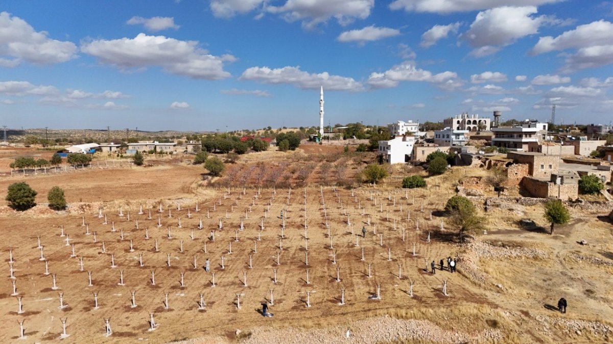 dezavantajli-tarim-arazileri-modern-bagcilik-projesiyle-hayat-buluyor