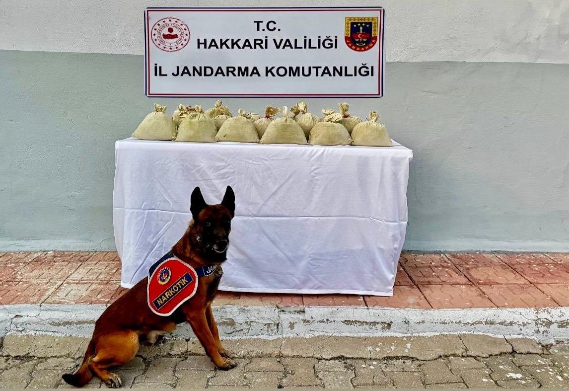 hakkaride-15-kilogram-esrar-ele-gecirildi